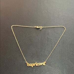 Capricorn Zodiac Gold Necklace